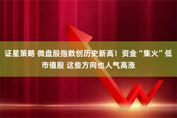 证星策略 微盘股指数创历史新高！资金“集火”低市值股 这些方向也人气高涨