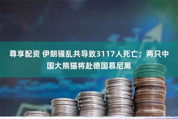 尊享配资 伊朗骚乱共导致3117人死亡；两只中国大熊猫将赴德国慕尼黑