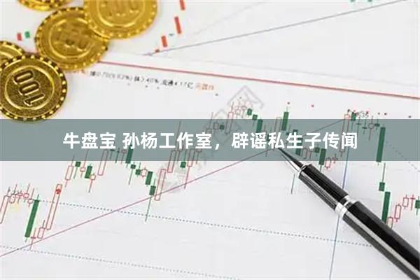 牛盘宝 孙杨工作室，辟谣私生子传闻