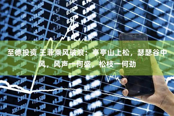 至德投资 王菲乘风破浪：亭亭山上松，瑟瑟谷中风，风声一何盛，松枝一何劲