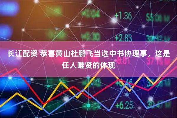长江配资 恭喜黄山杜鹏飞当选中书协理事，这是任人唯贤的体现